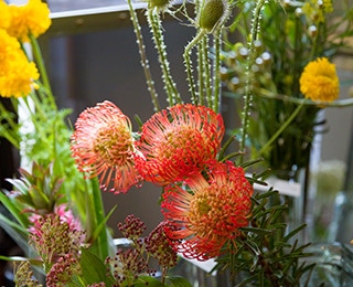 ゼロキューブ回 千葉県N様邸 花屋